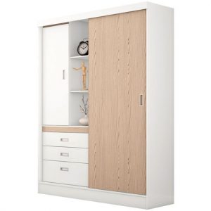 Tủ quần áo hiện đại TQA004